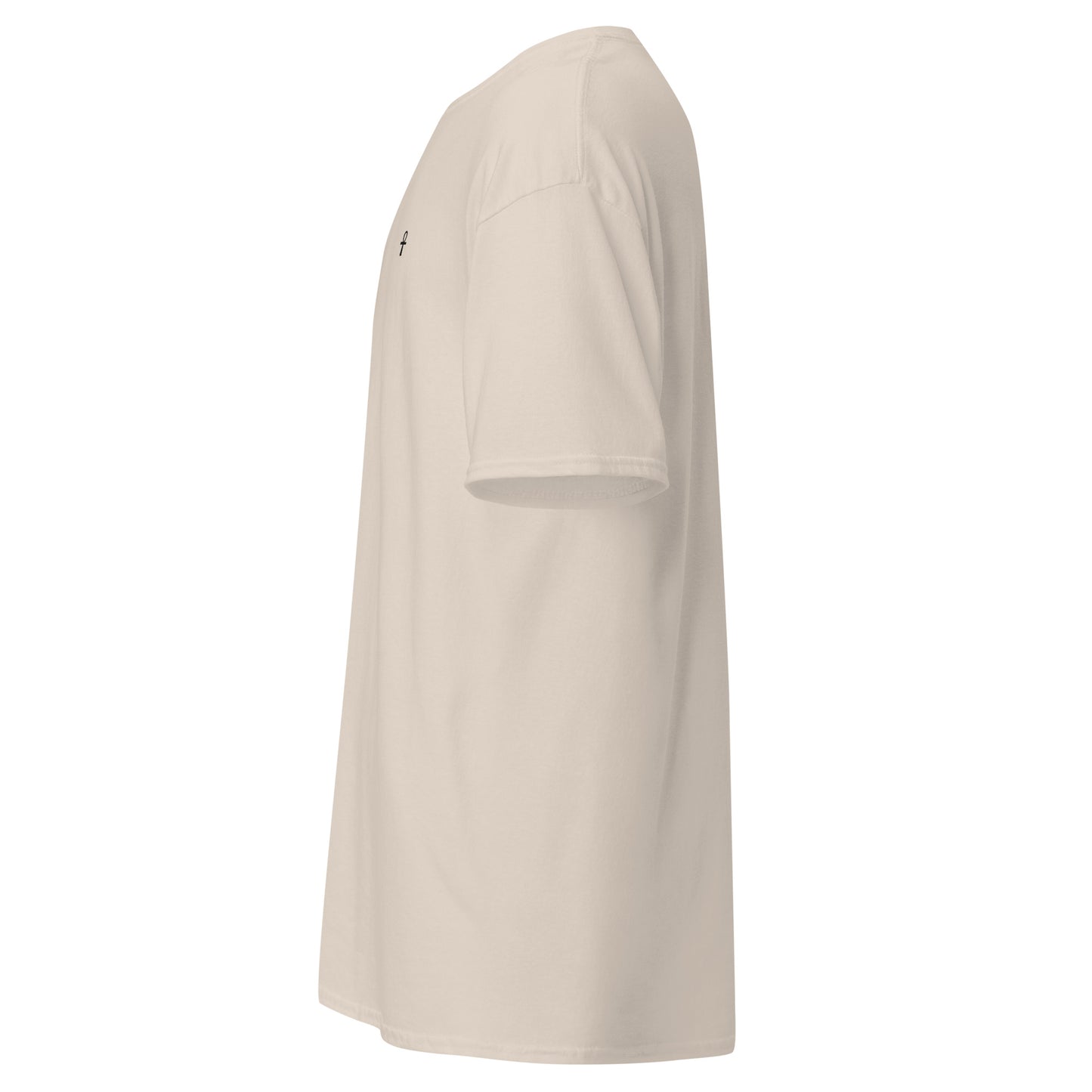 T-shirt classique homme